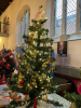 St Luke's Tree
