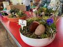 The potting mix mostly landed on the plastic tablecloths so this was the fist stage of clearing-up.